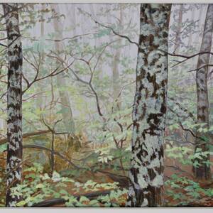 Stoney Man Woods.jpg